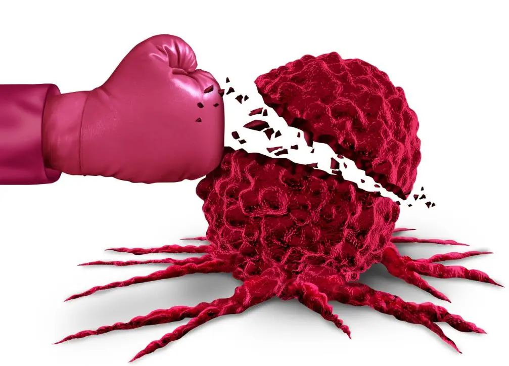 Cancer-Fighting Properties.jpg Cancer-Fighting Properties.jpg